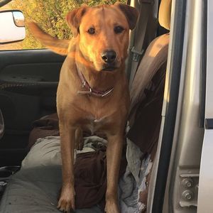 Meet your Posher, Connor